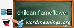 WordMeaning blackboard for chilean flameflower